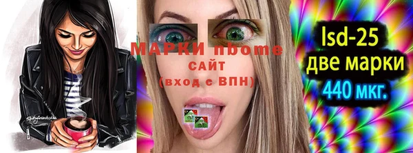 ПСИЛОЦИБИНОВЫЕ ГРИБЫ Вяземский